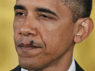 Fly lands on Obama Fly lands on Obama